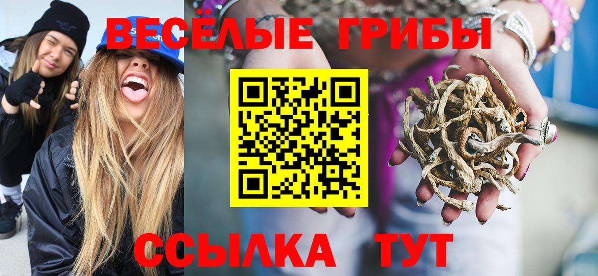 Галлюциногенные грибы MAGIC MUSHROOMS  Псилоцибиновые грибы Psilocybe  Кингисепп  Вход с VPN 